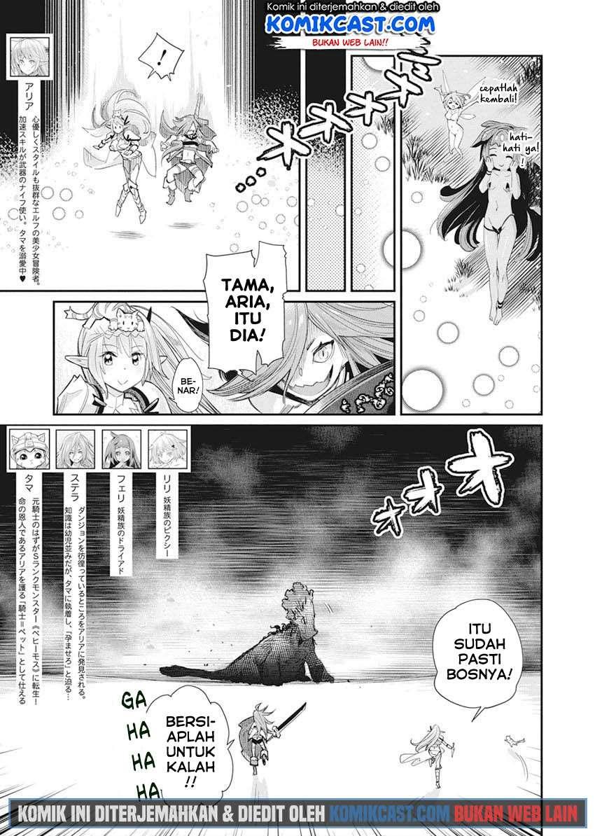 S-Rank Monster no Behemoth Dakedo, Neko to Machigawarete Erufu Musume no Kishi (Pet) Toshite Kurashitemasu Chapter 32