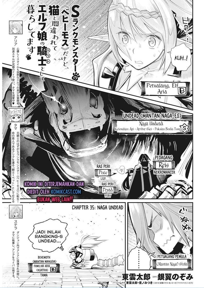 S-Rank Monster no Behemoth Dakedo, Neko to Machigawarete Erufu Musume no Kishi (Pet) Toshite Kurashitemasu Chapter 35