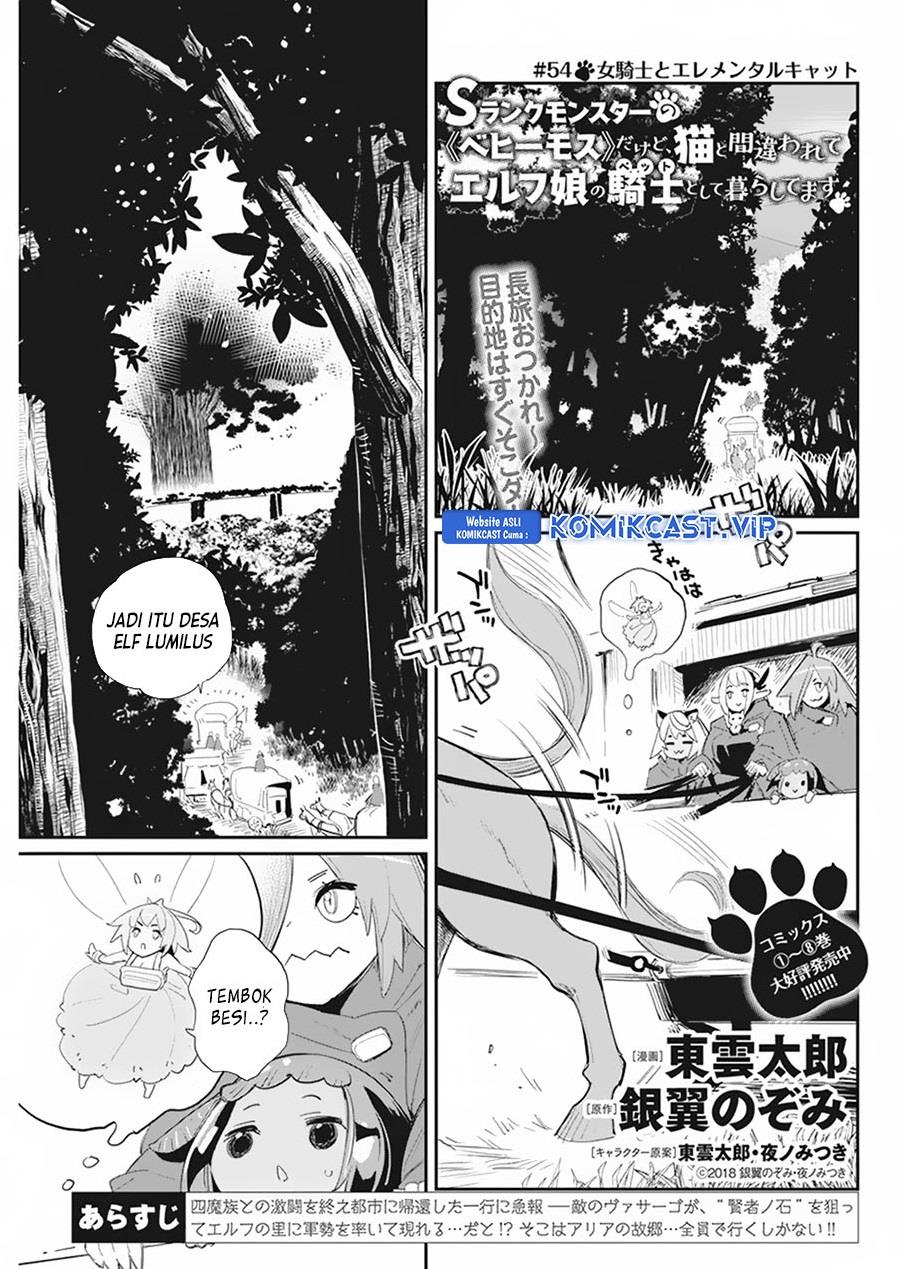 S-Rank Monster no Behemoth Dakedo, Neko to Machigawarete Erufu Musume no Kishi (Pet) Toshite Kurashitemasu Chapter 54
